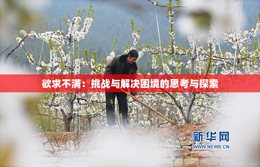 欲求不满：挑战与解决困境的思考与探索