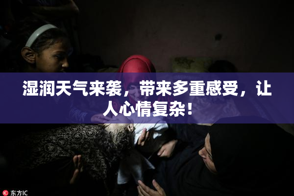 湿润天气来袭，带来多重感受，让人心情复杂！
