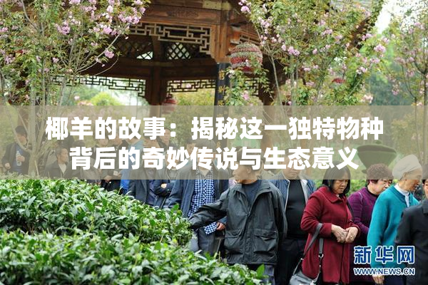 椰羊的故事：揭秘这一独特物种背后的奇妙传说与生态意义