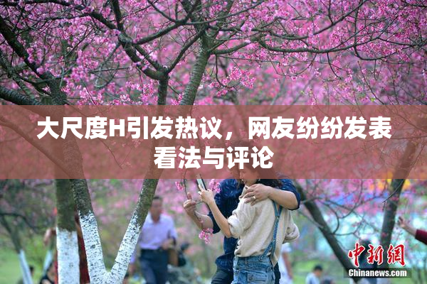 大尺度H引发热议，网友纷纷发表看法与评论
