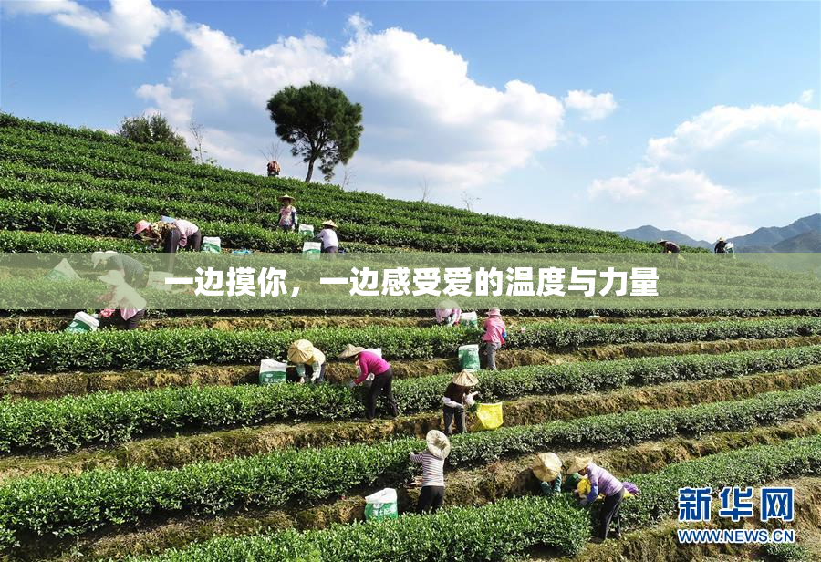 一边摸你，一边感受爱的温度与力量