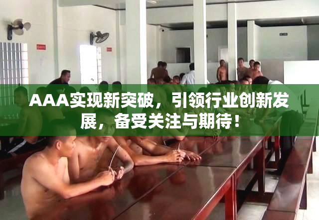 AAA实现新突破，引领行业创新发展，备受关注与期待！