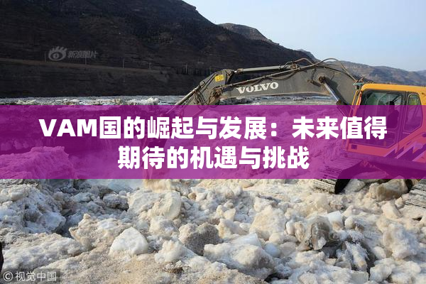 VAM国的崛起与发展：未来值得期待的机遇与挑战