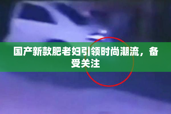 国产新款肥老妇引领时尚潮流，备受关注