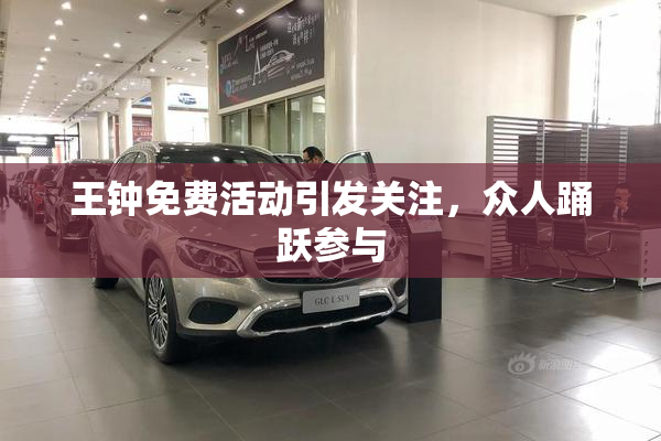 王钟免费活动引发关注，众人踊跃参与