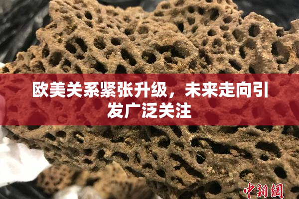 欧美关系紧张升级，未来走向引发广泛关注