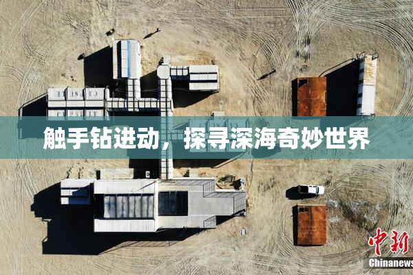 触手钻进动，探寻深海奇妙世界