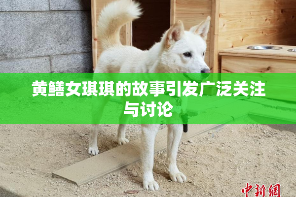 黄鳝女琪琪的故事引发广泛关注与讨论