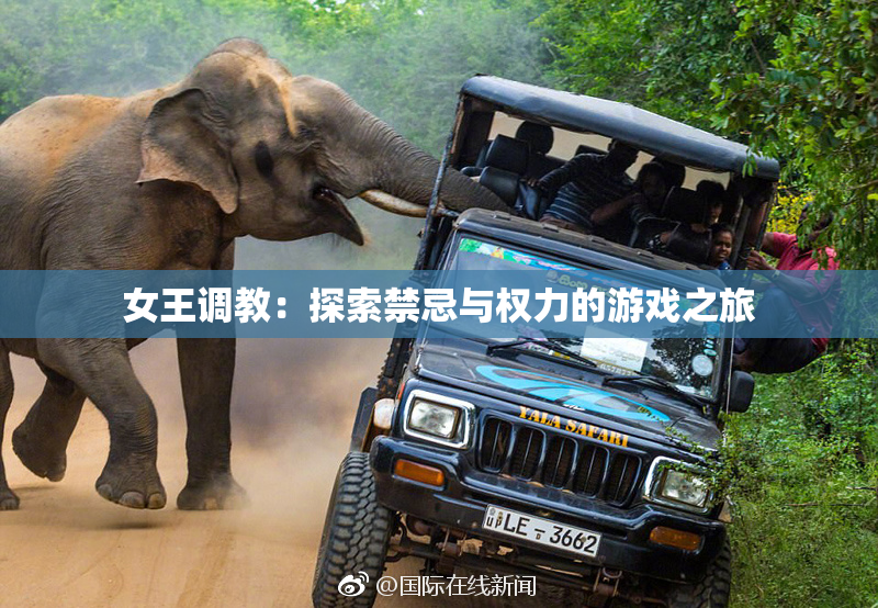 女王调教：探索禁忌与权力的游戏之旅