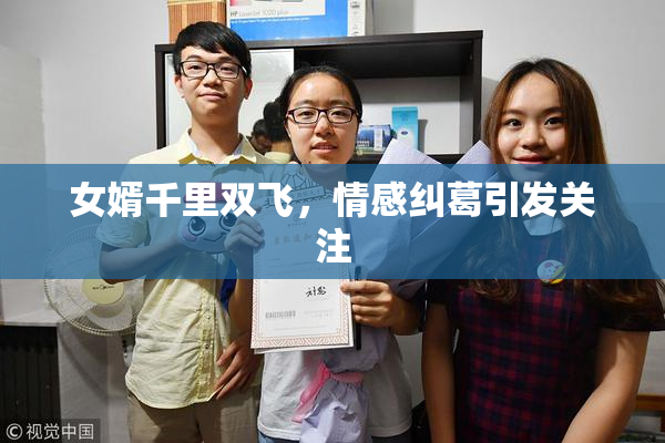 女婿千里双飞，情感纠葛引发关注