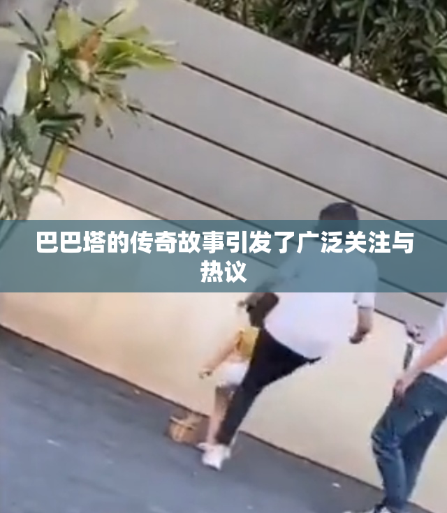 巴巴塔的传奇故事引发了广泛关注与热议