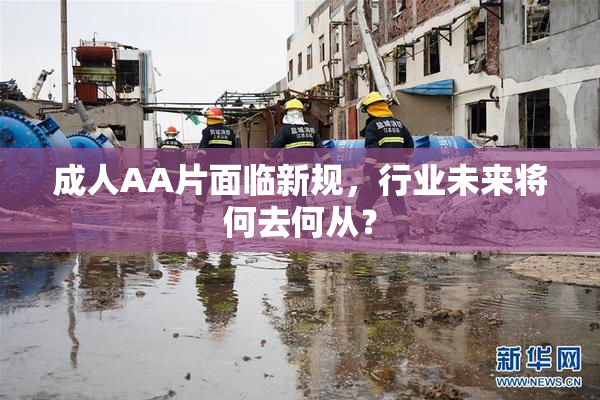 成人AA片面临新规，行业未来将何去何从？