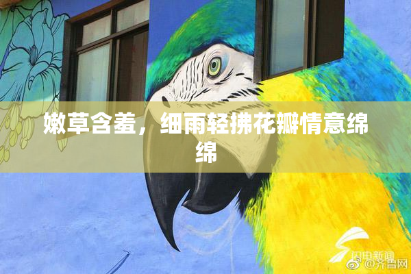 嫩草含羞，细雨轻拂花瓣情意绵绵