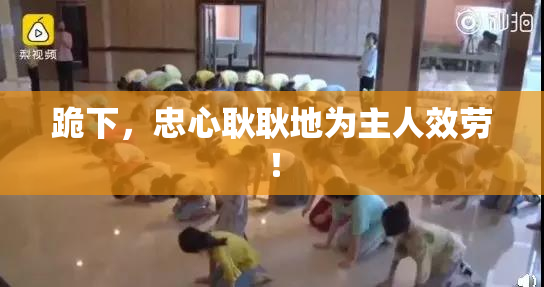 跪下，忠心耿耿地为主人效劳！