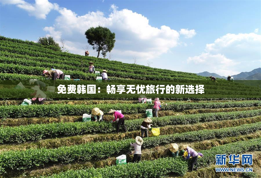 免费韩国：畅享无忧旅行的新选择