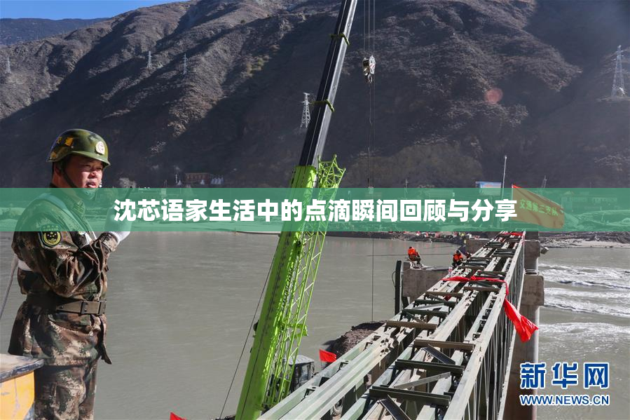 沈芯语家生活中的点滴瞬间回顾与分享
