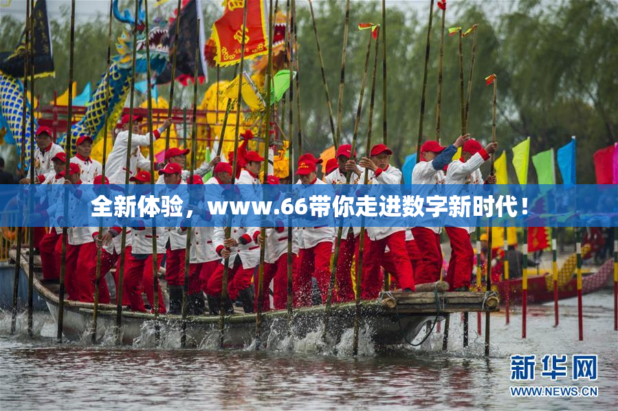全新体验，www.66带你走进数字新时代！