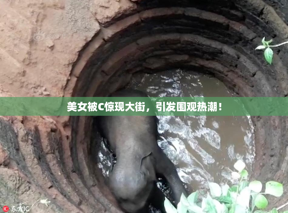 美女被C惊现大街，引发围观热潮！