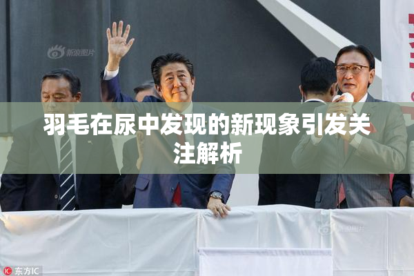羽毛在尿中发现的新现象引发关注解析