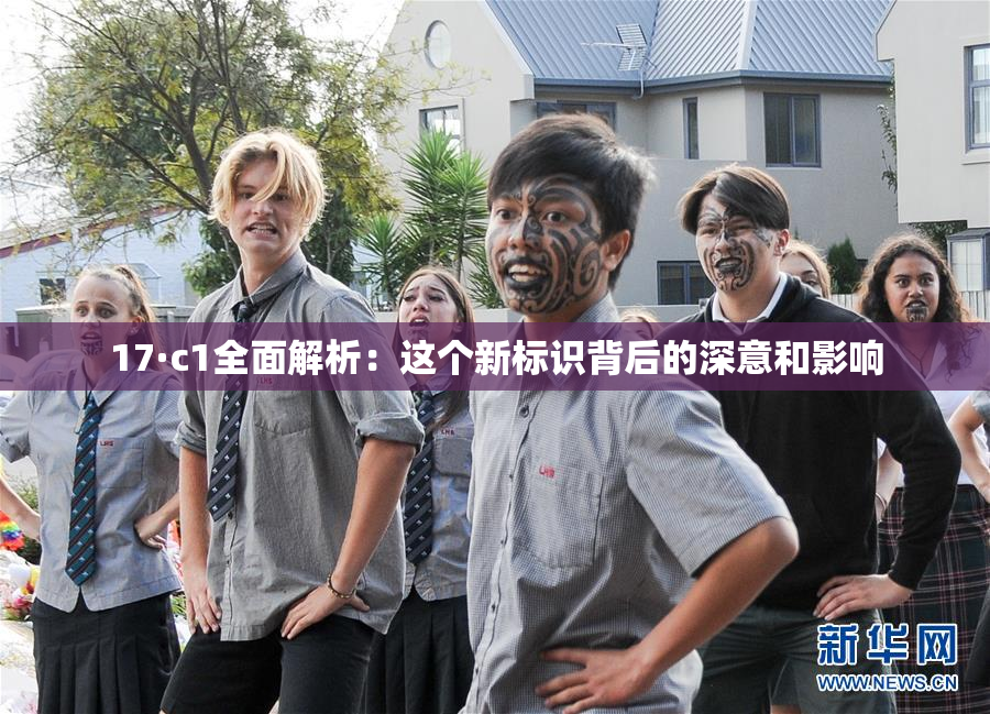 17·c1全面解析：这个新标识背后的深意和影响