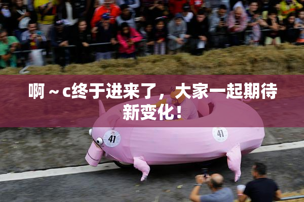啊～c终于进来了，大家一起期待新变化！