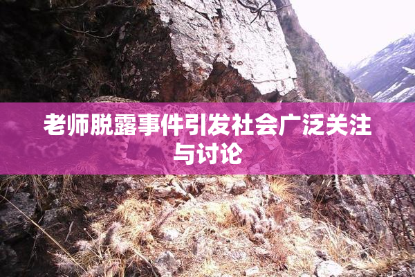 老师脱露事件引发社会广泛关注与讨论