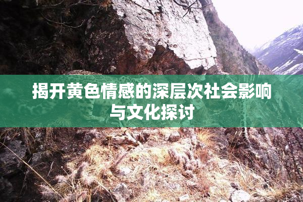 揭开黄色情感的深层次社会影响与文化探讨
