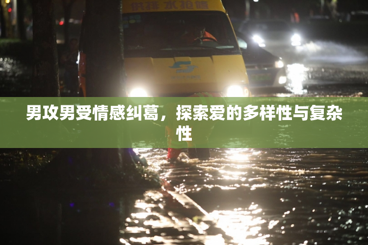 男攻男受情感纠葛，探索爱的多样性与复杂性