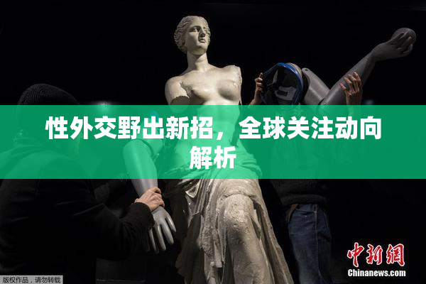 性外交野出新招，全球关注动向解析