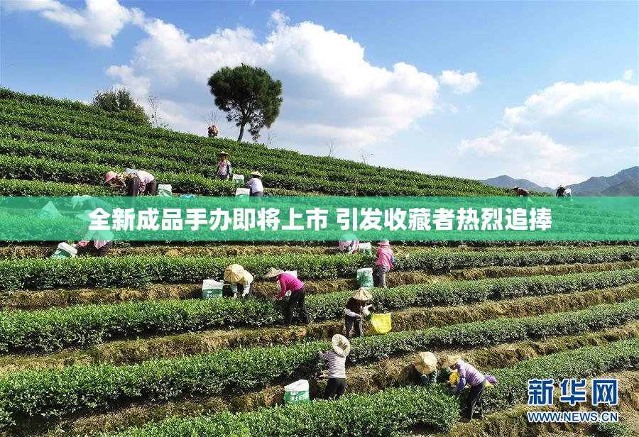 全新成品手办即将上市 引发收藏者热烈追捧