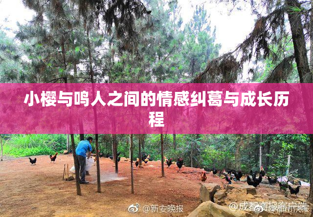 小樱与鸣人之间的情感纠葛与成长历程