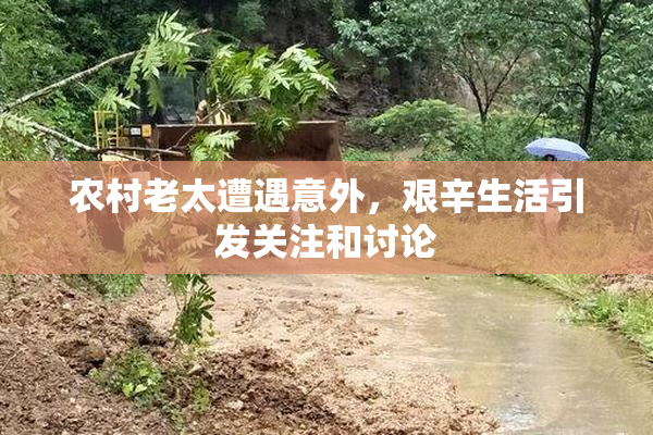 农村老太遭遇意外，艰辛生活引发关注和讨论