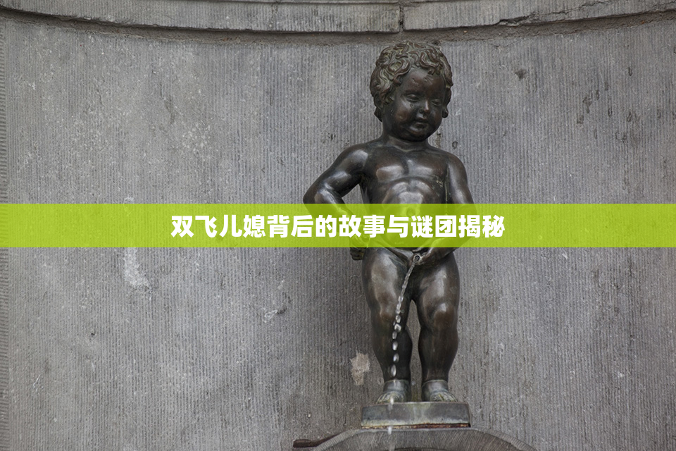 双飞儿媳背后的故事与谜团揭秘