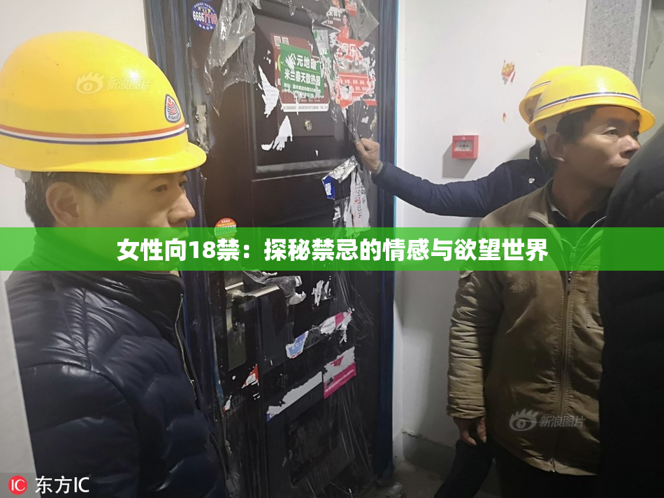 女性向18禁：探秘禁忌的情感与欲望世界