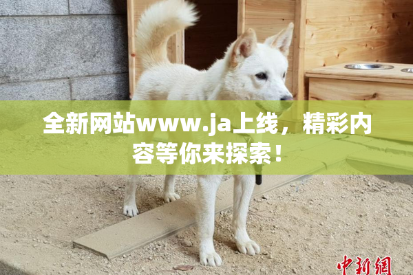 全新网站www.ja上线，精彩内容等你来探索！