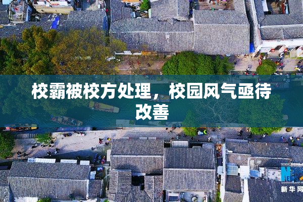 校霸被校方处理，校园风气亟待改善