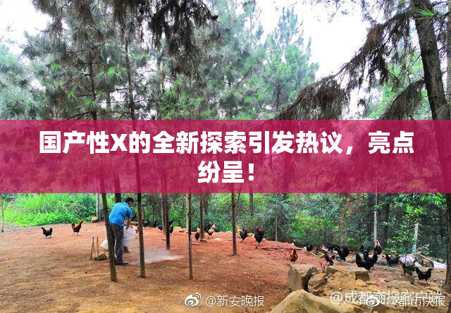 国产性X的全新探索引发热议，亮点纷呈！