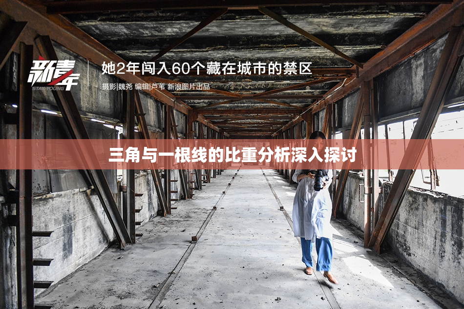 三角与一根线的比重分析深入探讨