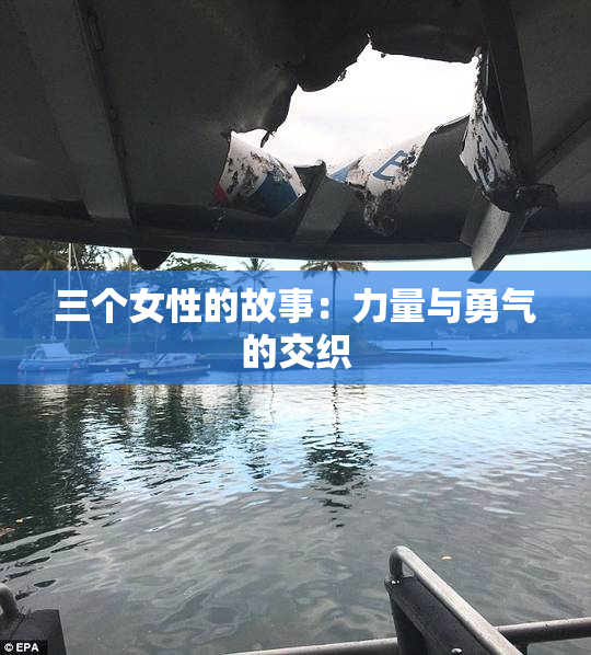 三个女性的故事：力量与勇气的交织
