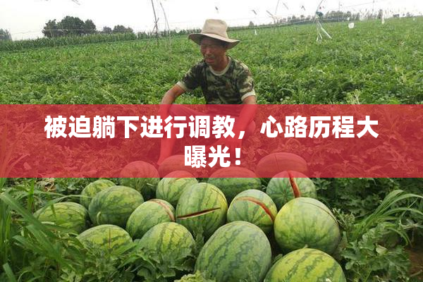 被迫躺下进行调教，心路历程大曝光！
