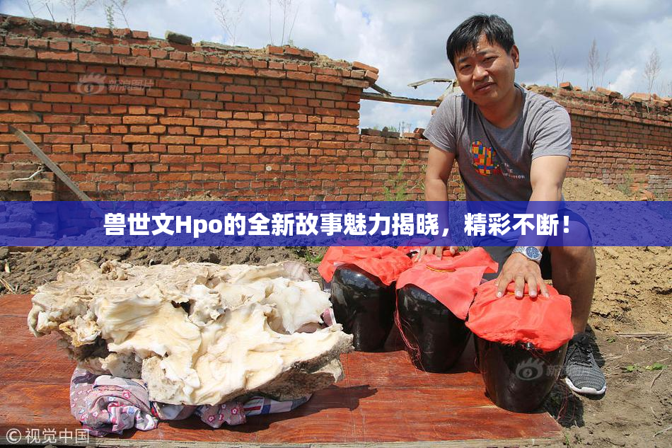 兽世文Hpo的全新故事魅力揭晓，精彩不断！