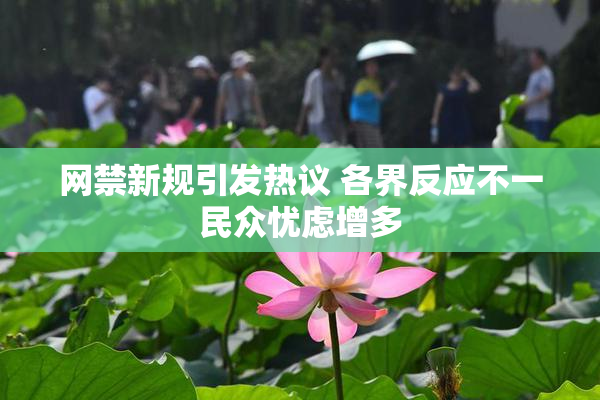网禁新规引发热议 各界反应不一民众忧虑增多
