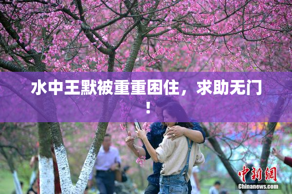 水中王默被重重困住，求助无门！