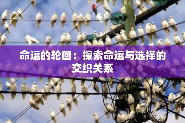 命运的轮回：探索命运与选择的交织关系