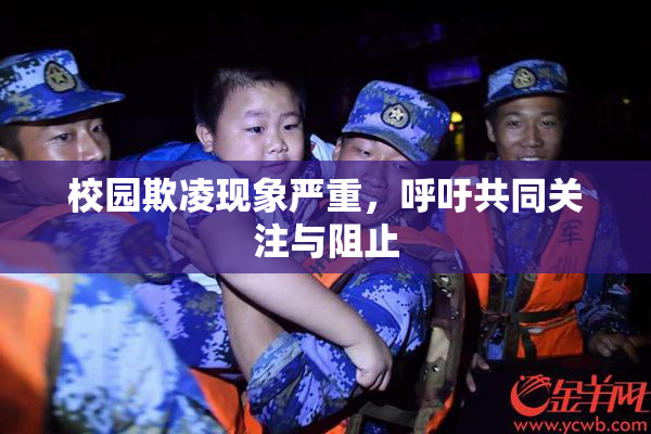 校园欺凌现象严重，呼吁共同关注与阻止