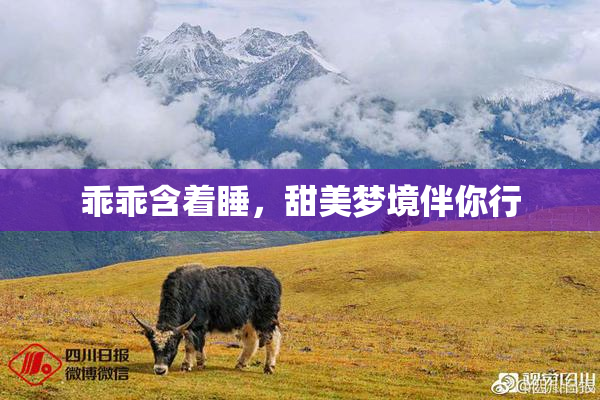 乖乖含着睡，甜美梦境伴你行