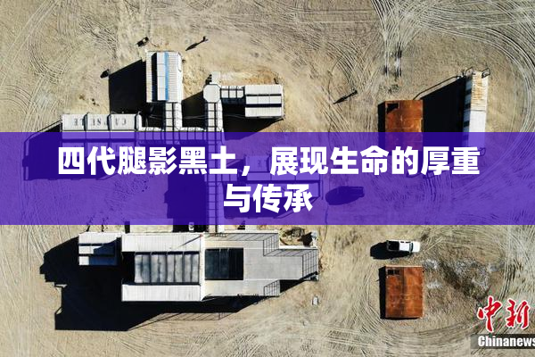 四代腿影黑土，展现生命的厚重与传承