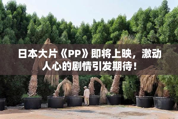 日本大片《PP》即将上映，激动人心的剧情引发期待！