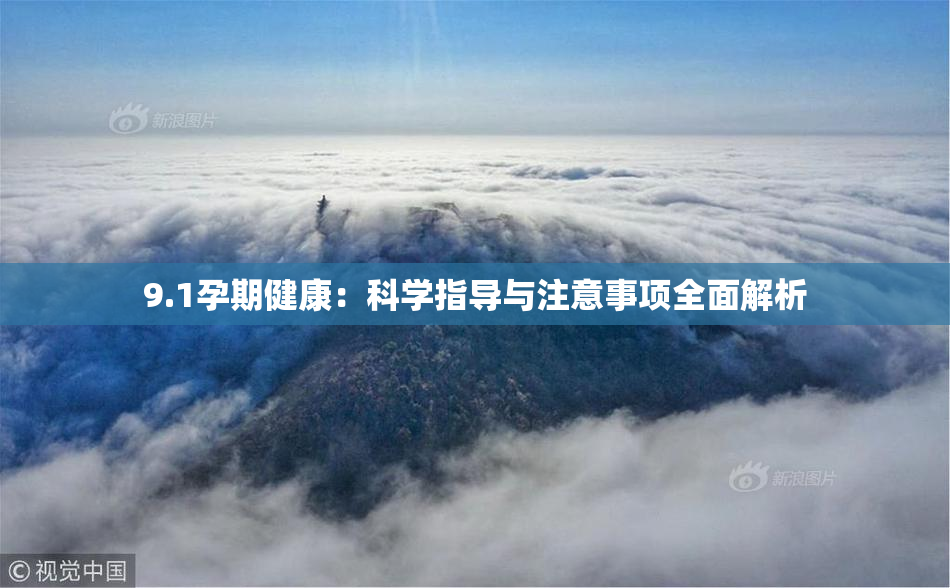 9.1孕期健康：科学指导与注意事项全面解析