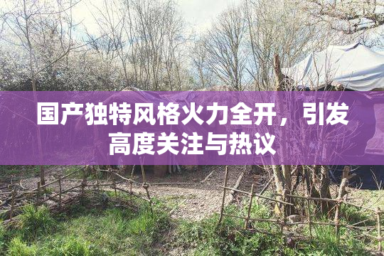 国产独特风格火力全开，引发高度关注与热议